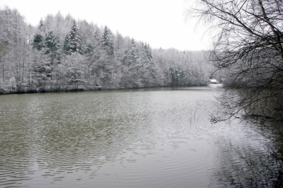 South East Water
